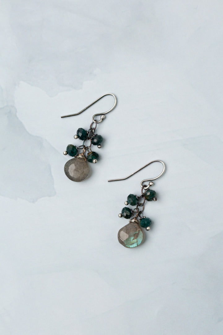 Eclipse Tourmaline With Faceted Labradorite Briolette Cluster Earrings