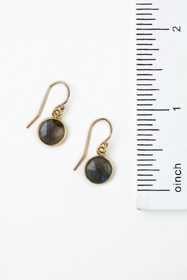 Sapphire Labradorite Coin Shaped Bezel Simple Earrings