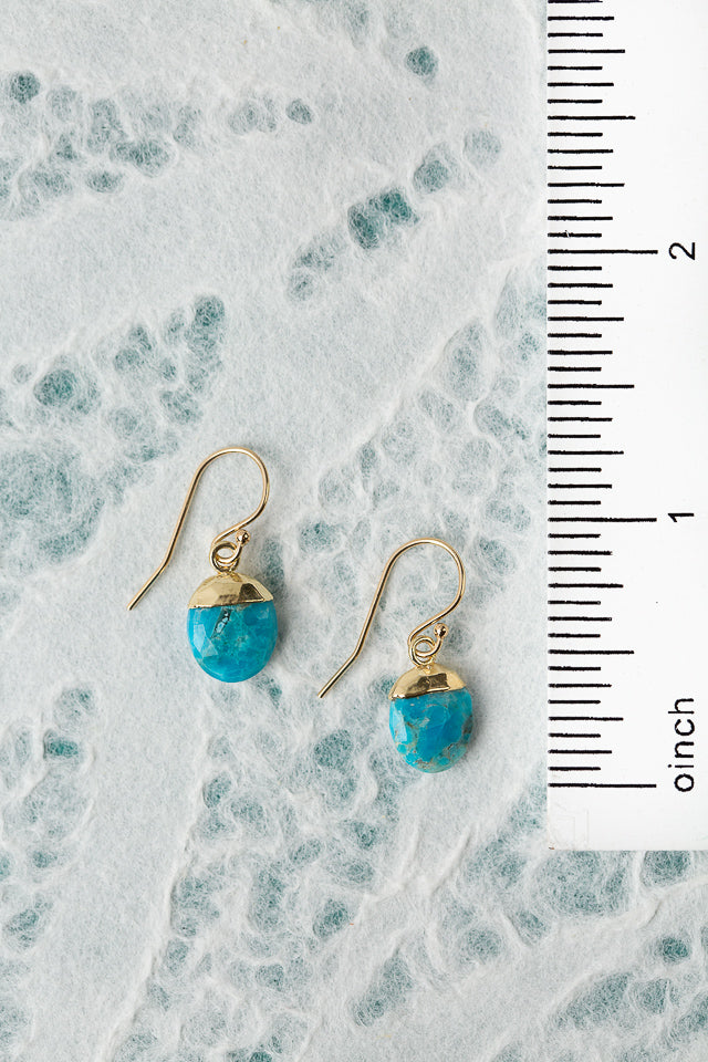 Surrender Turquoise Simple Earrings